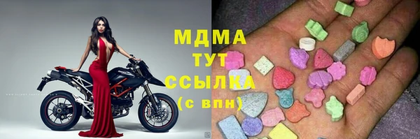 стафф Гусев