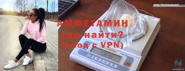 стафф Гусев