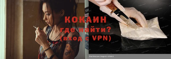 стафф Гусев