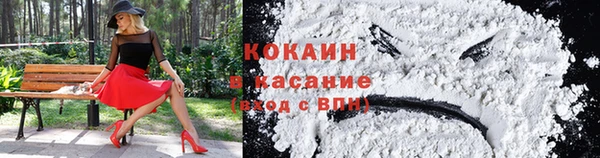 стафф Гусев