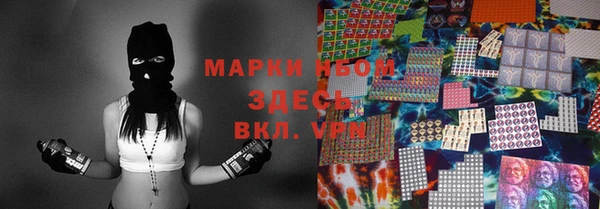 стафф Гусев