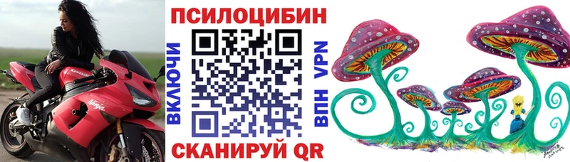 Галлюциногенные грибы Cubensis Дмитров