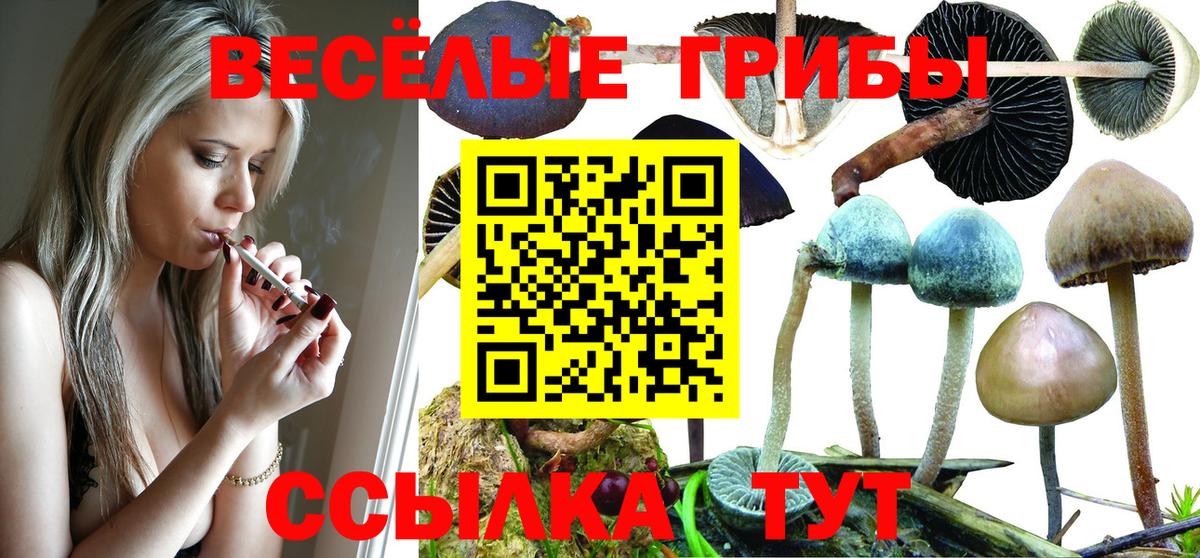Галлюциногенные грибы прущие грибы Дмитров