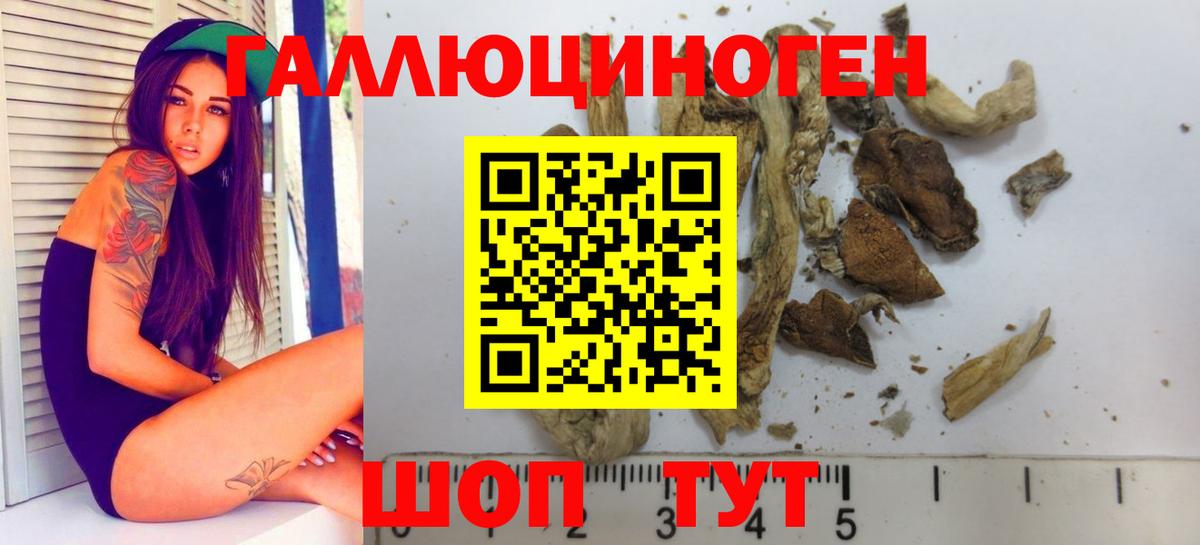 Псилоцибиновые грибы MAGIC MUSHROOMS  Вход с VPN  Дмитров 