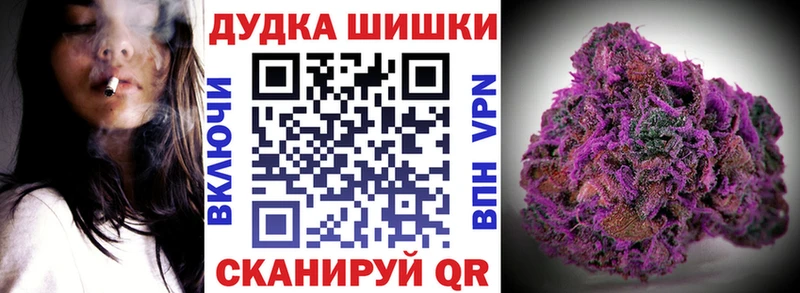 закладка  Дмитров  гидра зеркало  Бошки марихуана SATIVA & INDICA 
